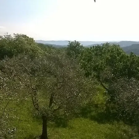 Casa Vecchia *