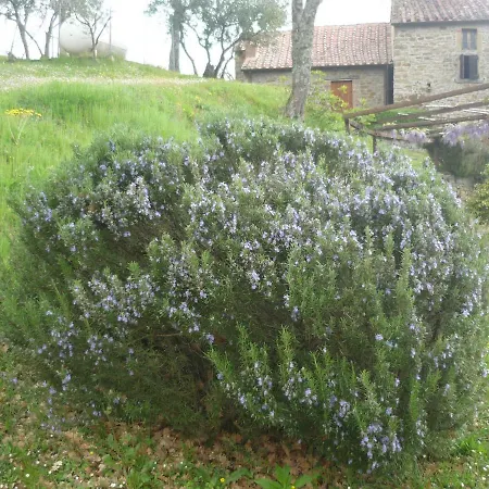 Villa Casa Vecchia